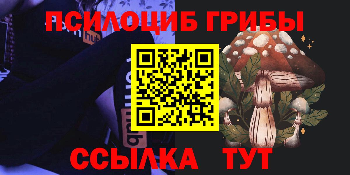 Галлюциногенные грибы Psilocybe Десногорск