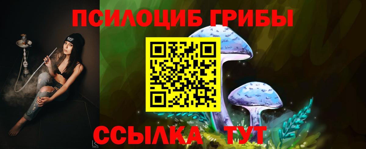 Галлюциногенные грибы MAGIC MUSHROOMS  Вход с VPN  Десногорск 